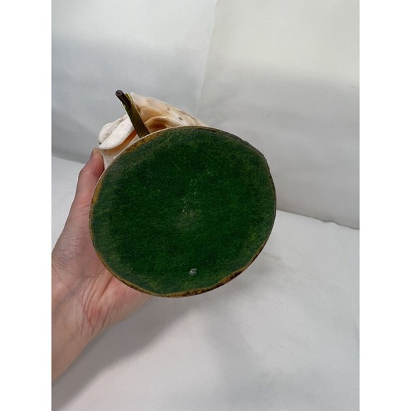 VTG MCM‎ Large Queen's Helmet Conch Sea Shell On Metal Stand Globe Shaped Decor - Picture 8 of 10